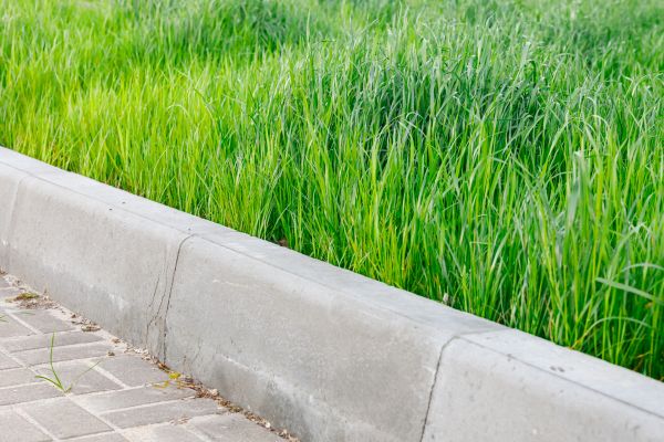 Curb Removal Service