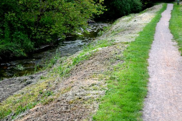 Trail Cutting